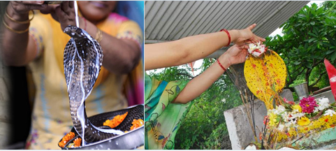 The Importance of nagula chavithi. Nagula Chavithi Festival dedicated to nagas snakes in india, Festival Of nagula chavithi, Nagula Chavithi Pooja